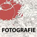 Reprodukce - Fotografie