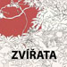 Reprodukce - Zvířata